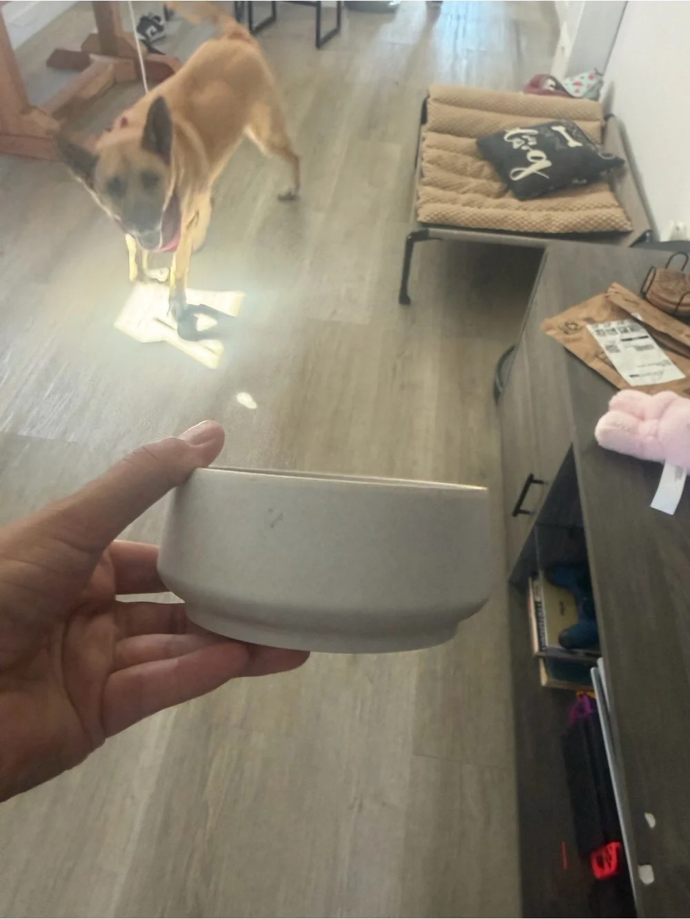 Minimalist Small Ceramic Bowl in Light Gray